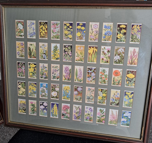 Will wild flowers framed - wild,