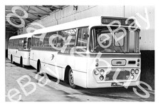 Bus Photograph ALEXANDER