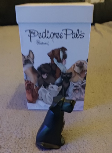 Pedigree pals black - my,