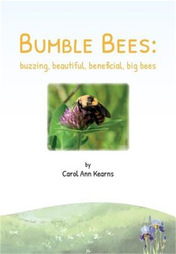 Bumble bees buzzing - bees:,