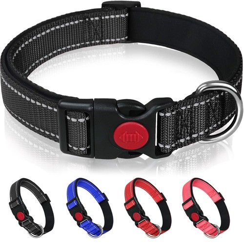 Dog collar adjustable - dog,