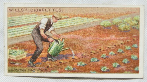 1923 wills gardening - hints, no