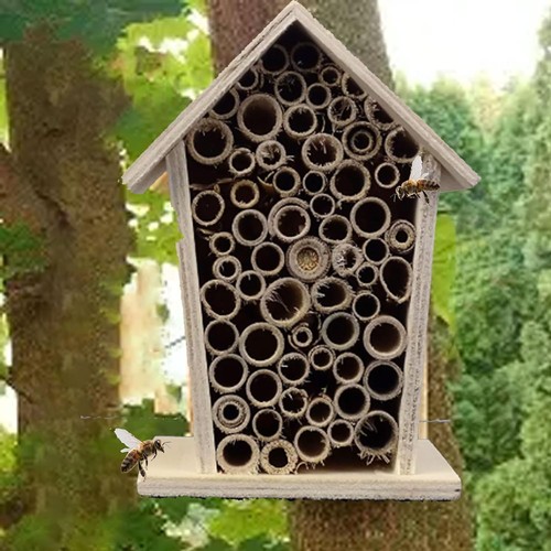 Ciny insect hotel - insect, hotel,