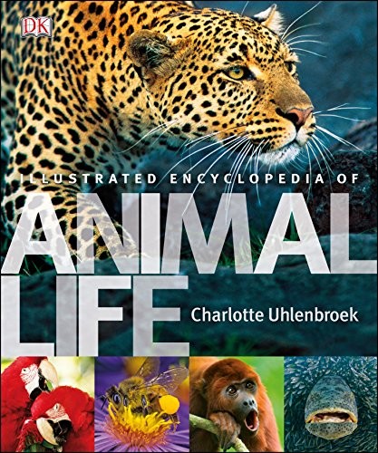 Illustrated encyclopedia - encyclopedia, of