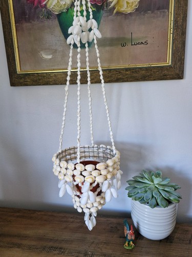 Boho sea shell cowrie puka