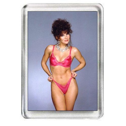 Linda lusardi sexy - lusardi, fridge