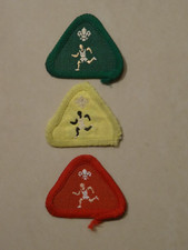 Cub Scout Proficiency/Activity