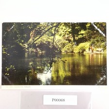 Vintage 1950s Postcard The