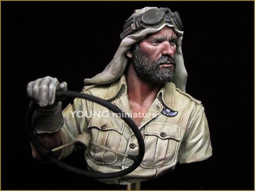 Young miniatures british sas - miniatures,