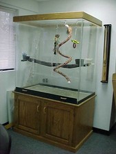 Pennzoni Large Acrylic Bird