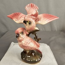 Pink  2 Cockatoo Parrot Birds