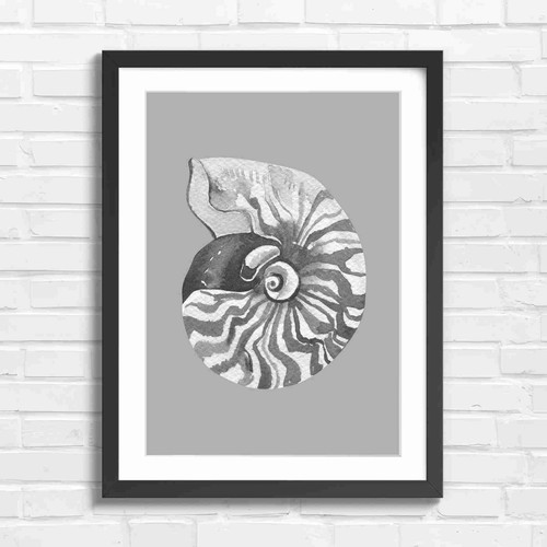 Vintage nautilus shell art - nautilus,