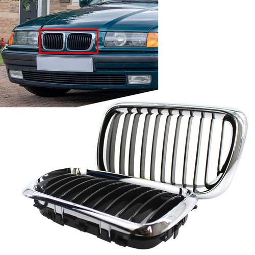 Front hood kidney - front,