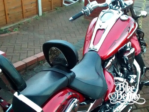 Driver rider backrest - backrest, for