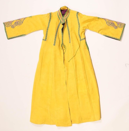 Central asian golden yellow - asian,
