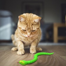 Remote Control Snake Cat Toy