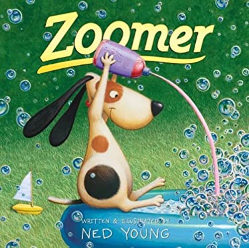 Zoomer library binding ned - zoomer,