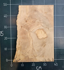 Kiln Dried Planed Sycamore
