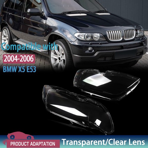 Pair headlight lens - pair,