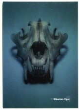 Advert 3D Double View Postcard