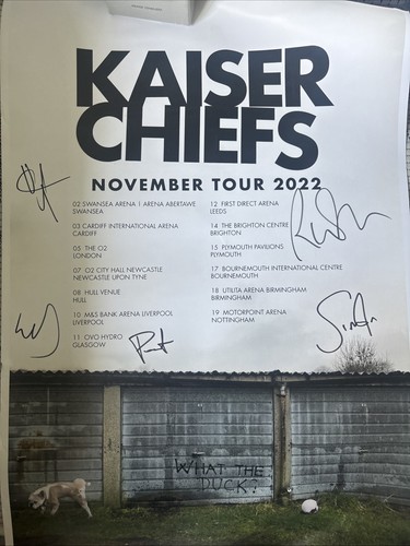 Kaiser chiefs signed november - kaiser,