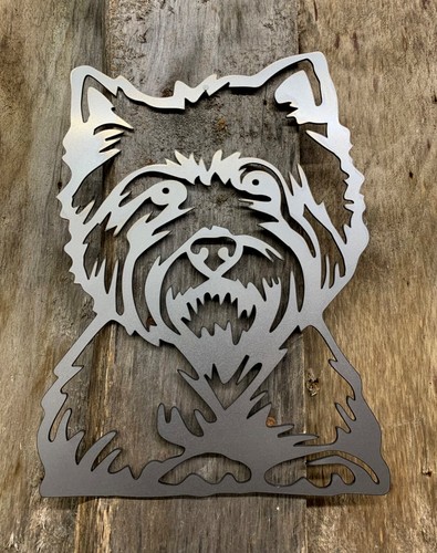 Westie west highland terrier - highland,