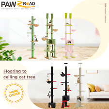 PAWZ Road Floor to Ceiling Cat