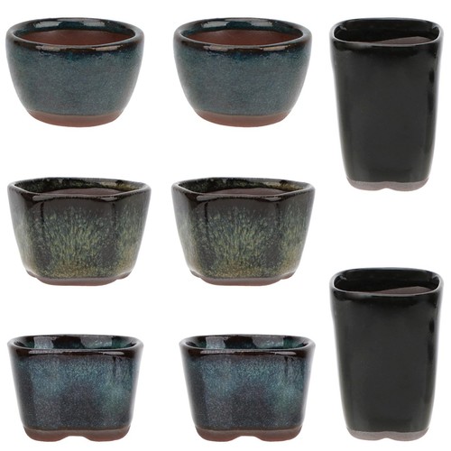 Happy bonsai pack mini - 8,