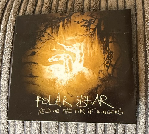 Polar bear held - tips, of