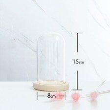 Glass Display Dome Bell Jar