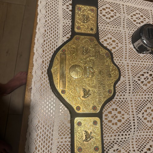 Wcw big gold heavyweight