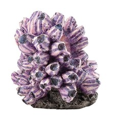 BiOrb Barnacle Cluster Coral