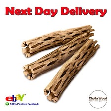 3X  Cholla Cactus Wood Aquariums Shrimp Tank Snails Fry Aquascape Parrot - 6inch