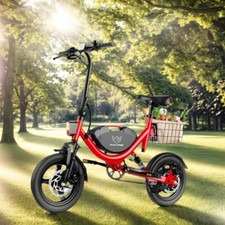 715W Peak Off-Road Ebike Moped