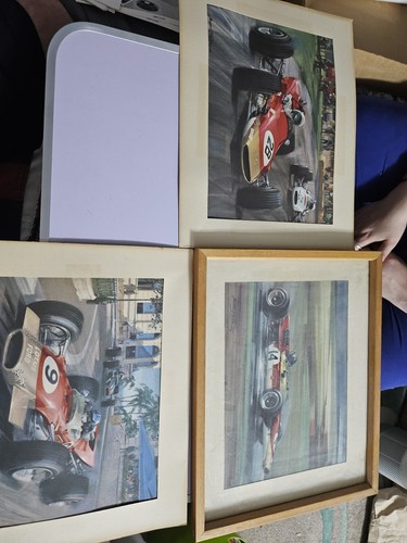 Lotus prints michael turner - lotus,