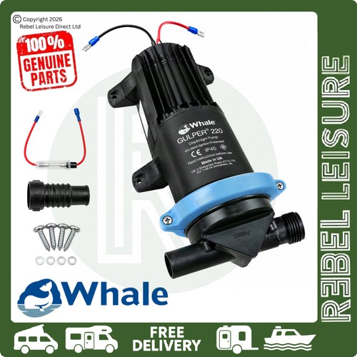 Whale gulper 220 - whale,