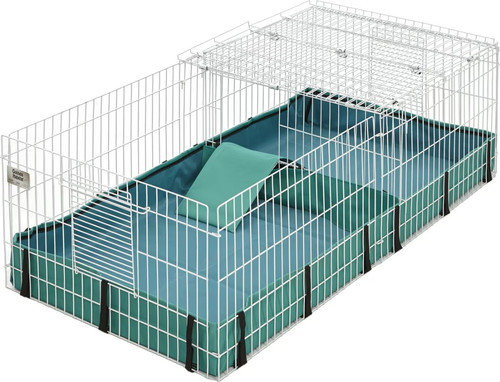 Midwest guinea habitat - habitat,
