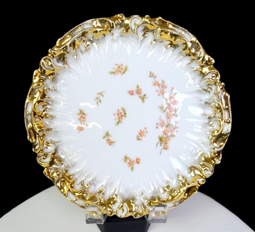 Geschutzt german porcelain - geschutzt,