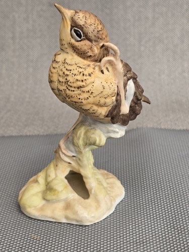 Royal worcester fledgling - royal,