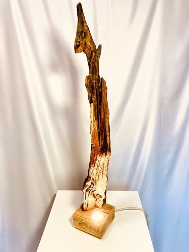 Driftwood table lamp the - driftwood,