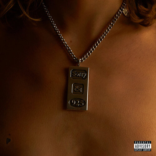 Sorry 925 vinyl album - :,