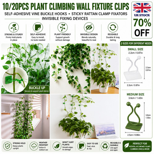 Plant climbing wall - climbing, vines