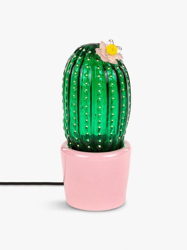 Seletti desert sunrise cactus - desert,