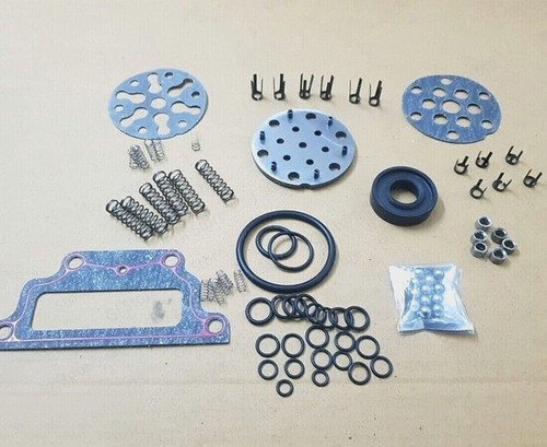 Hydraulic pump repair - kit, fits