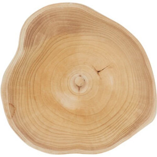 Natural wood slice - natural, large