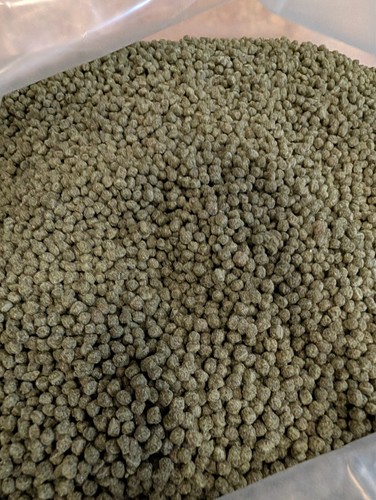 10kg medium green pond - 10kg,