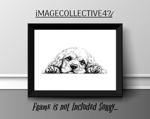 American cocker spaniel a4 - cocker,