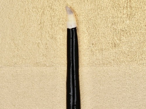 Artisan fish tooth polishing - fish,