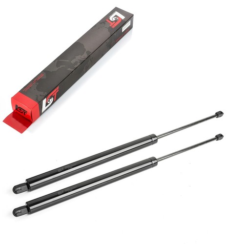 Gas spring tailgate - gas,