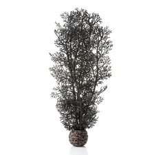BiOrb Black Sea Fan - Medium